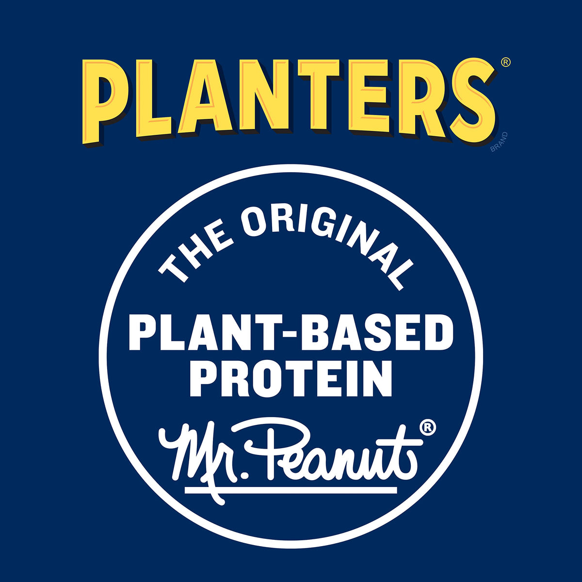 PLANTERS Deluxe Lightly Salted Cashews, Party Snacks, Plant-Based Protein, Quick Snack for Adults, After School Snack, Flavored
