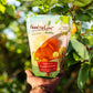 Food To Live - Dried Apricots, 1 Pound Kosher, Vegan, Bulk, Product Of Turkey