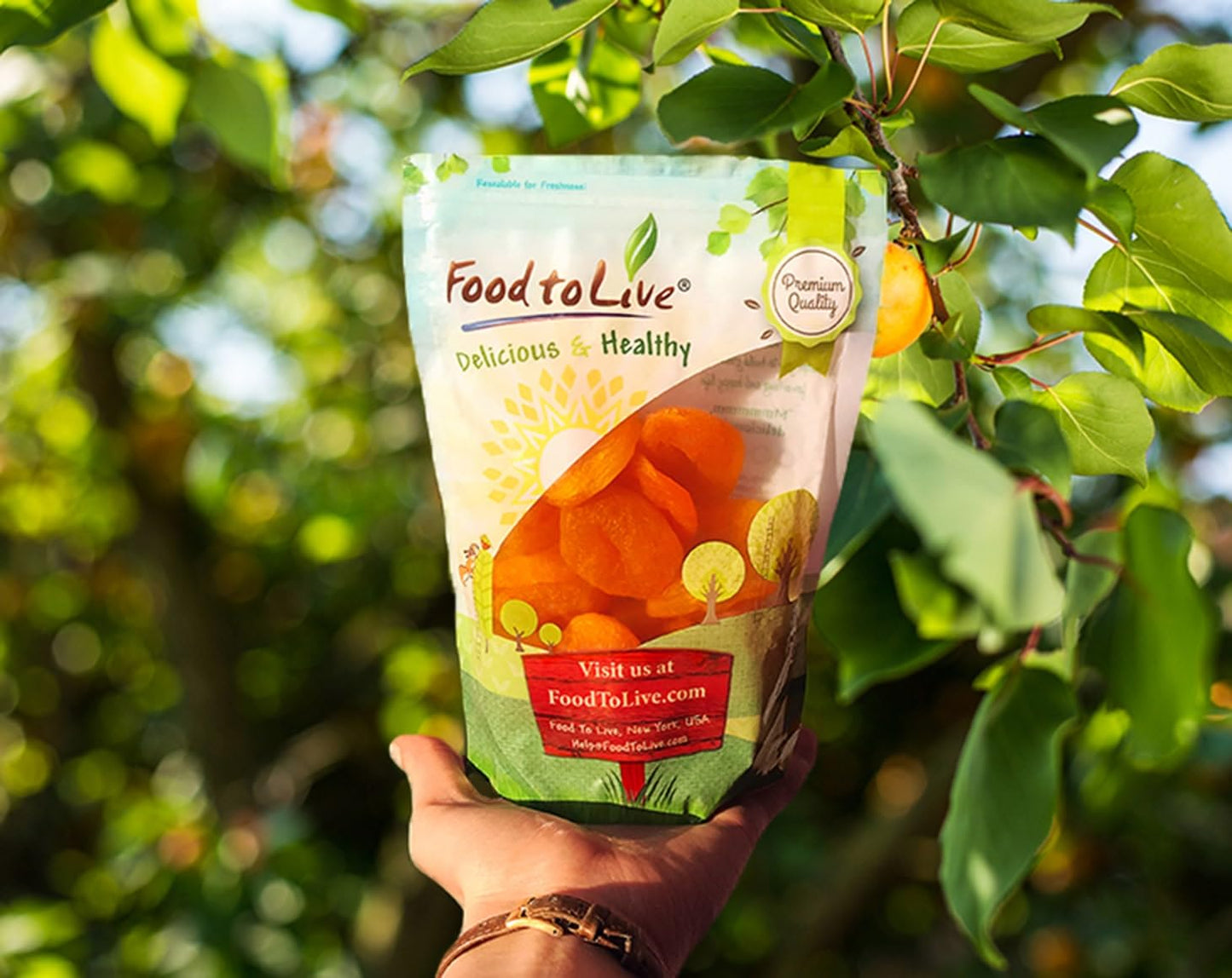 Food To Live - Dried Apricots, 8 Pounds Kosher, Vegan, Bulk, Product Of Turkey