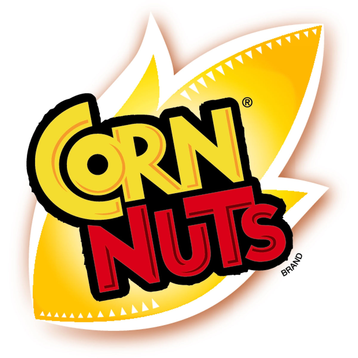 CORN NUTS Variety Pack, Crunchy Corn Kernels, Snack Box, Individual Packs, Snacks For Adults, Original, Ranch, BBQ, Chile Picant