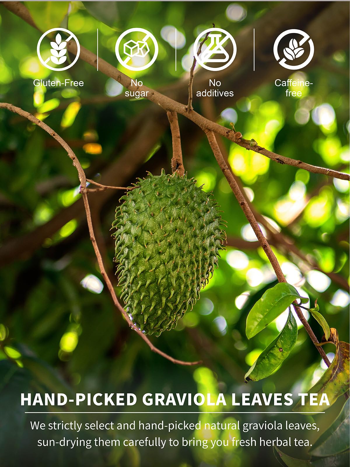 TeeLux Soursop Graviola Leaf Tea Bags, Caffeine Free, Mild & Smooth Taste, 50 Count