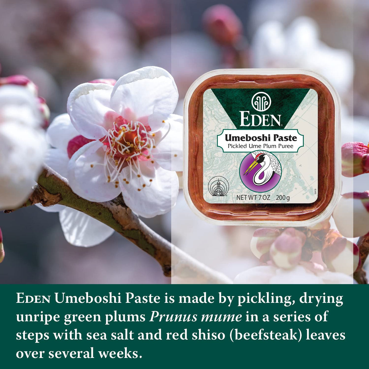Eden Umeboshi Paste, Pickled Ume Plum Puree, Traditional from Japan, No MSG, No Chemical Additives, 7oz