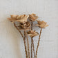 Bundle Of 6 Wooden Deco Roses On Stems