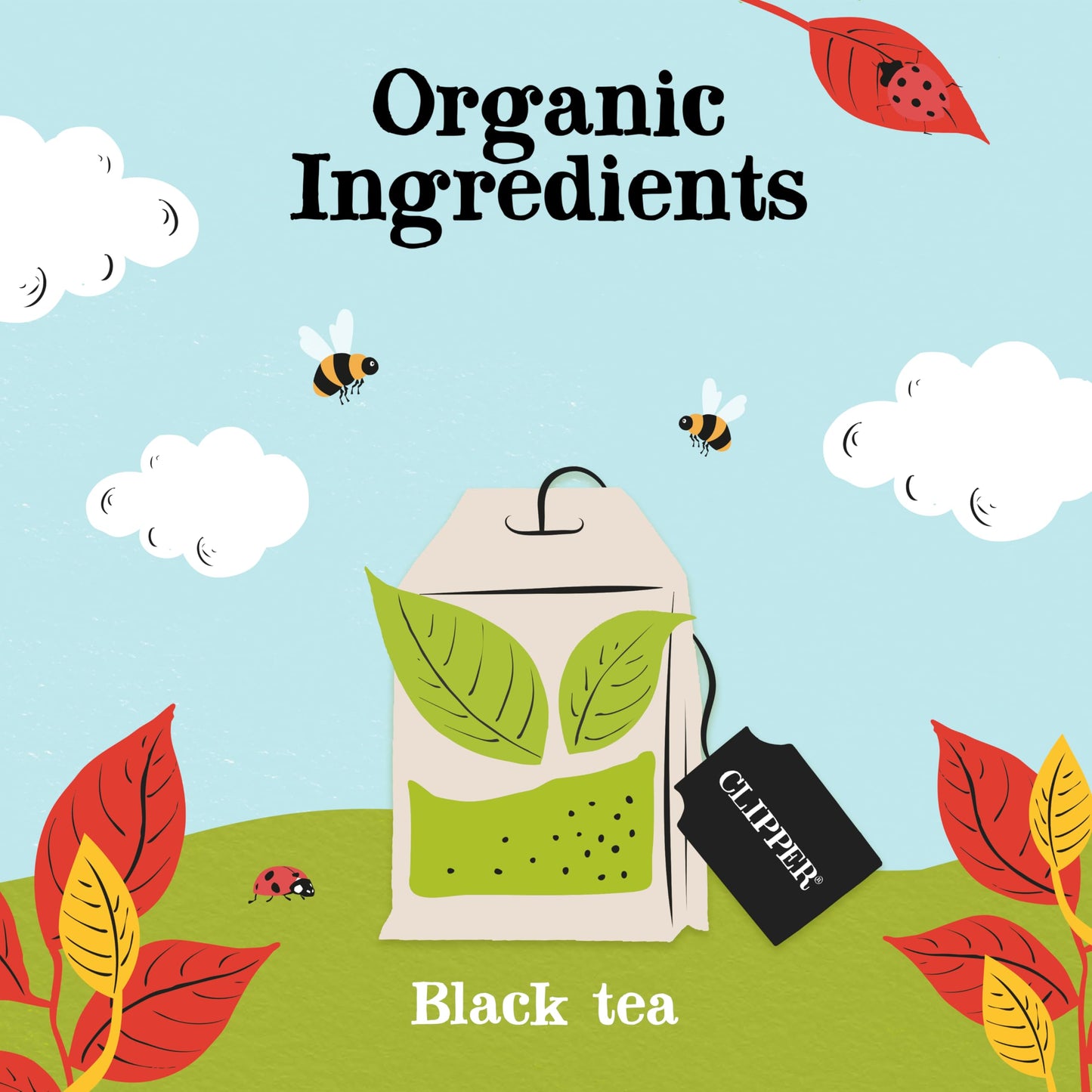 Clipper Tea Organic Fairtrade English Breakfast, Big Ben - Usda Organic, Non-Gmo, Fair Trade, Sustainable Caffeinated Tea, 1 Pac