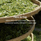 OSULLOC Volcanic Isle Matcha Powder  Ceremonial Grade Korean Matcha for lattes  Green tea powder from Jeju island (1.41oz  40g)