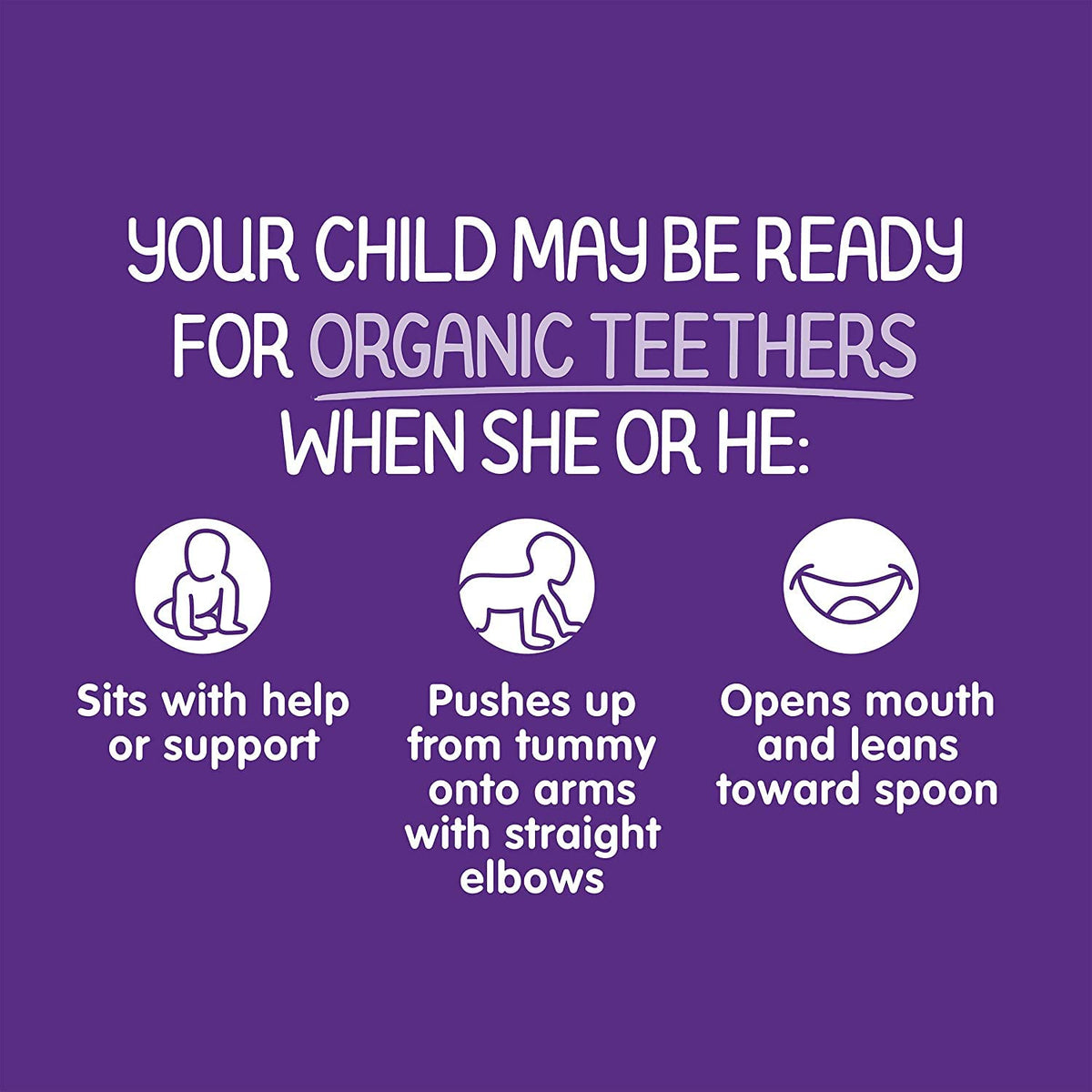 Happy Baby Organics Teether, Blueberry & Purple Carrot, 12 Count (Pack Of 6)