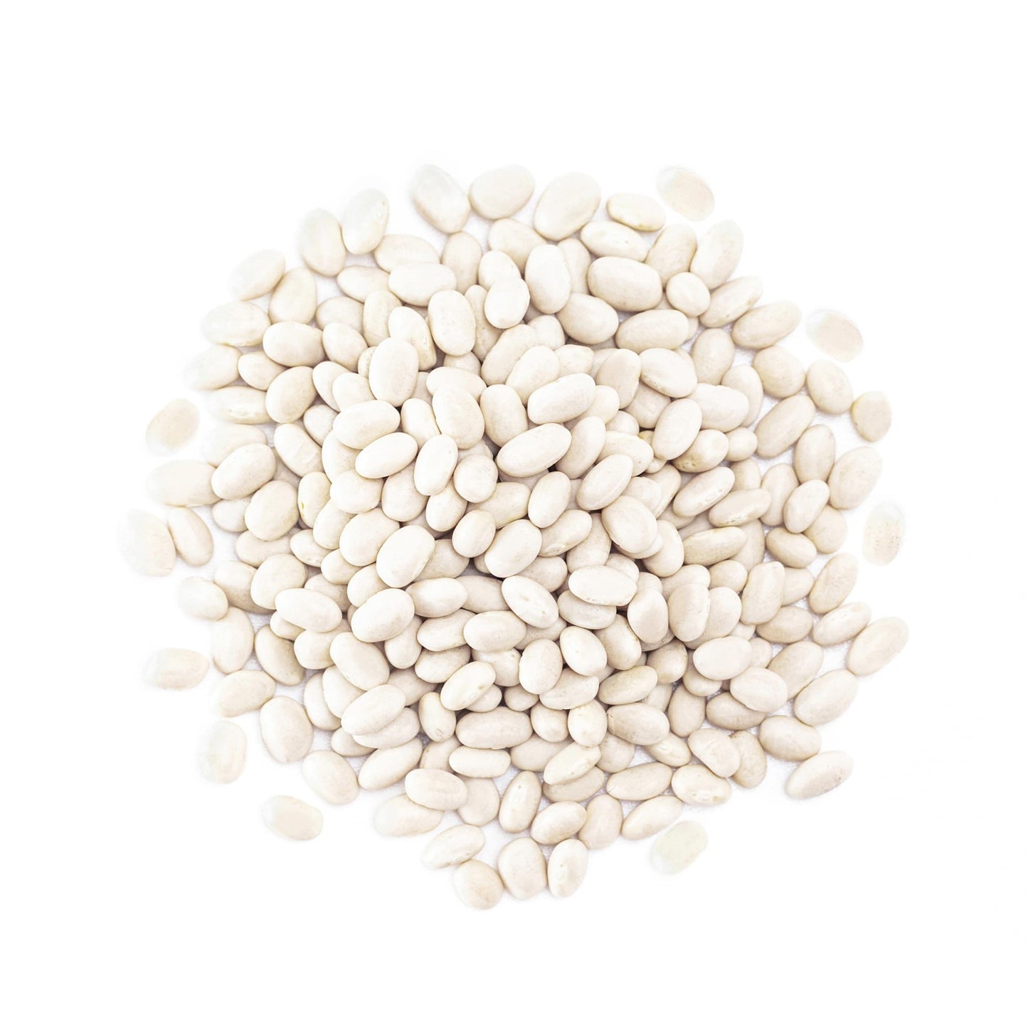 Food To Live Organic Navy Beans, 25 Pounds Non-Gmo Verified, Kosher, Vegan, Dried White, Bulk. High In Protein And Dietary Fiber