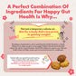 AMAGURA Amazake Japanese Oatmeal Cookies 7oz | Natural Healthy Cookies, Probiotics, Gut Health, Gluten Free, Sugar Free, Rich Nu
