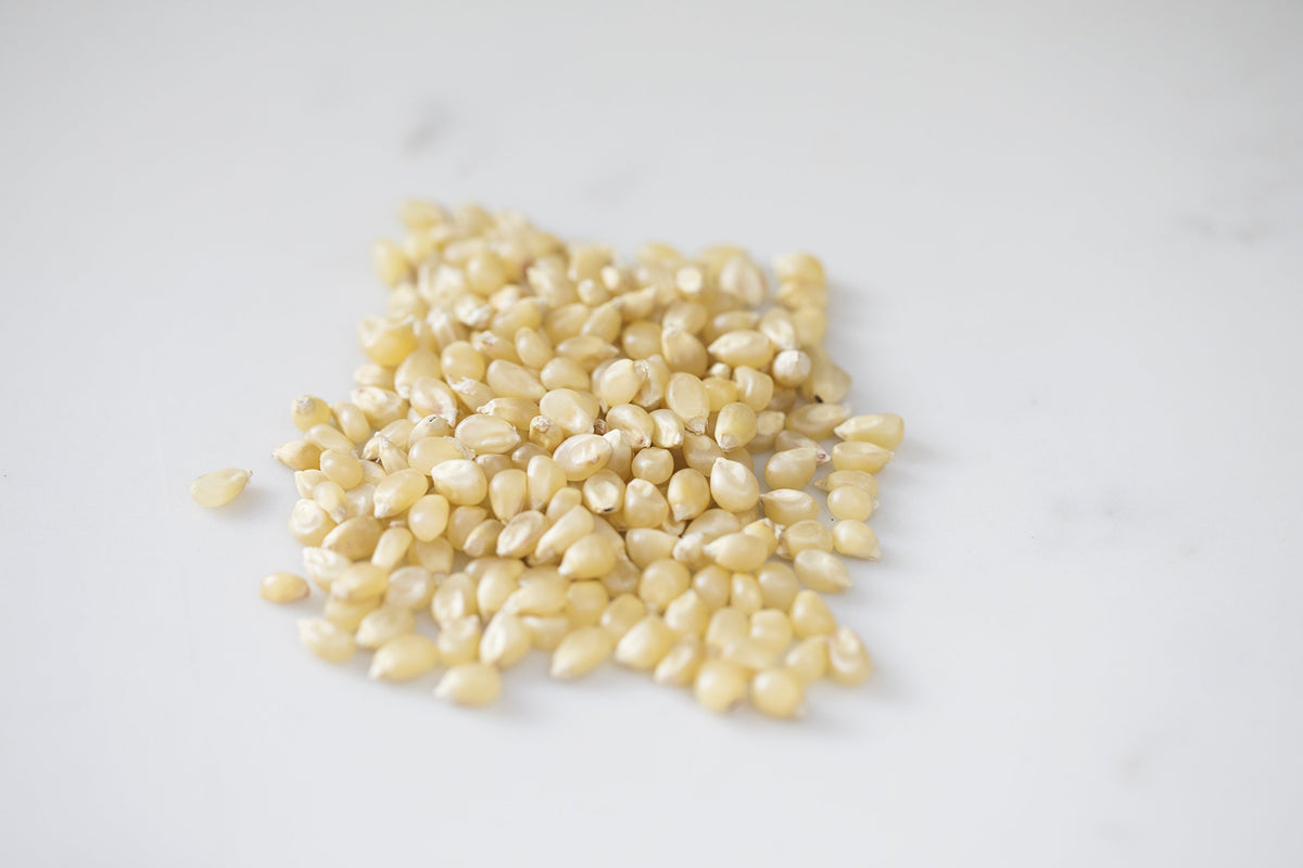 Amish Country Popcorn | 1 Lbs Bag | Medium White Popcorn Kernels | Old Fashioned, Non-Gmo And Gluten Free (Medium White - 1 Lbs