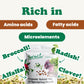 Food to Live Organic Salad Mix of Sprouting Seeds, 8 Ounces - Non-GMO Broccoli, Radish, Clover, Alfalfa. Rich Germination Rate,