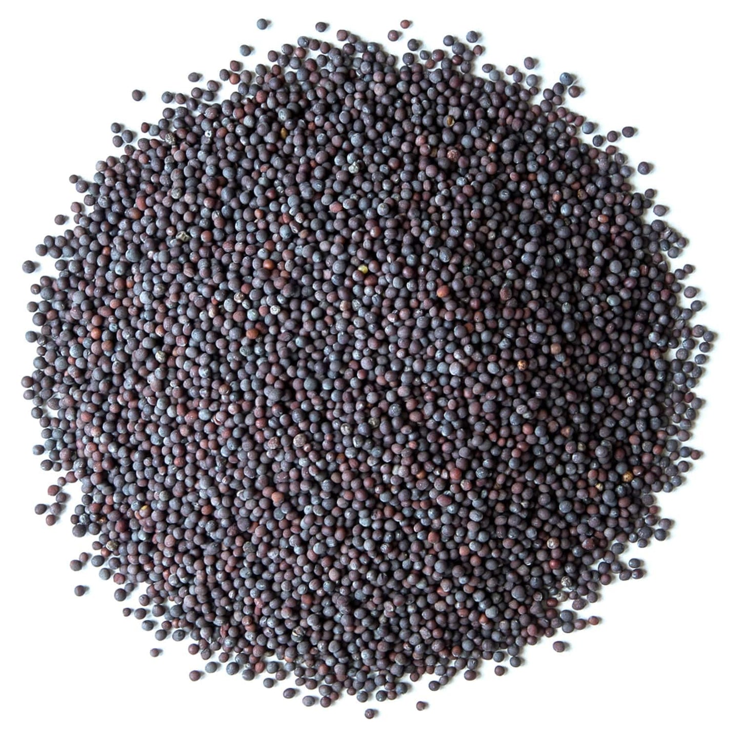 Food To Live - Organic Black Mustard Seeds, 5 Pounds - Non-Gmo, Whole Hot Spice, Non-Irradiated, Vegan, Kosher, High In Protein,