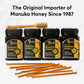 P.R.I Manuka Honey Sticks, Certified Mgo 300+, Raw New Zealand Manuka Honey, Perfect For On-The-Go, 20Ct