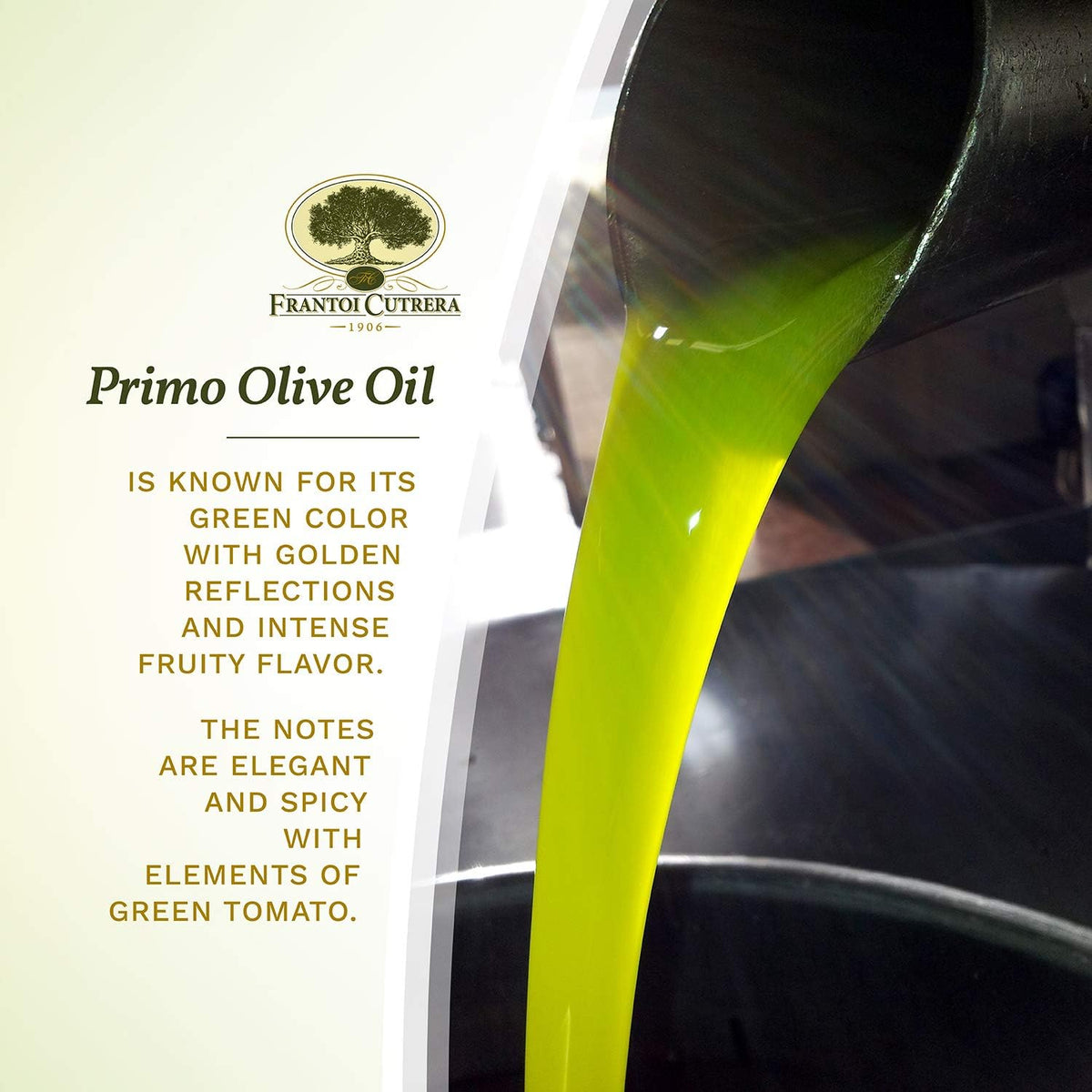 Frantoi Cutrera Primo Cold Extracted Italian Extra Virgin Olive Oil Cold Pressed, Polyphenol Rich Olive Oil, Authentic Certified