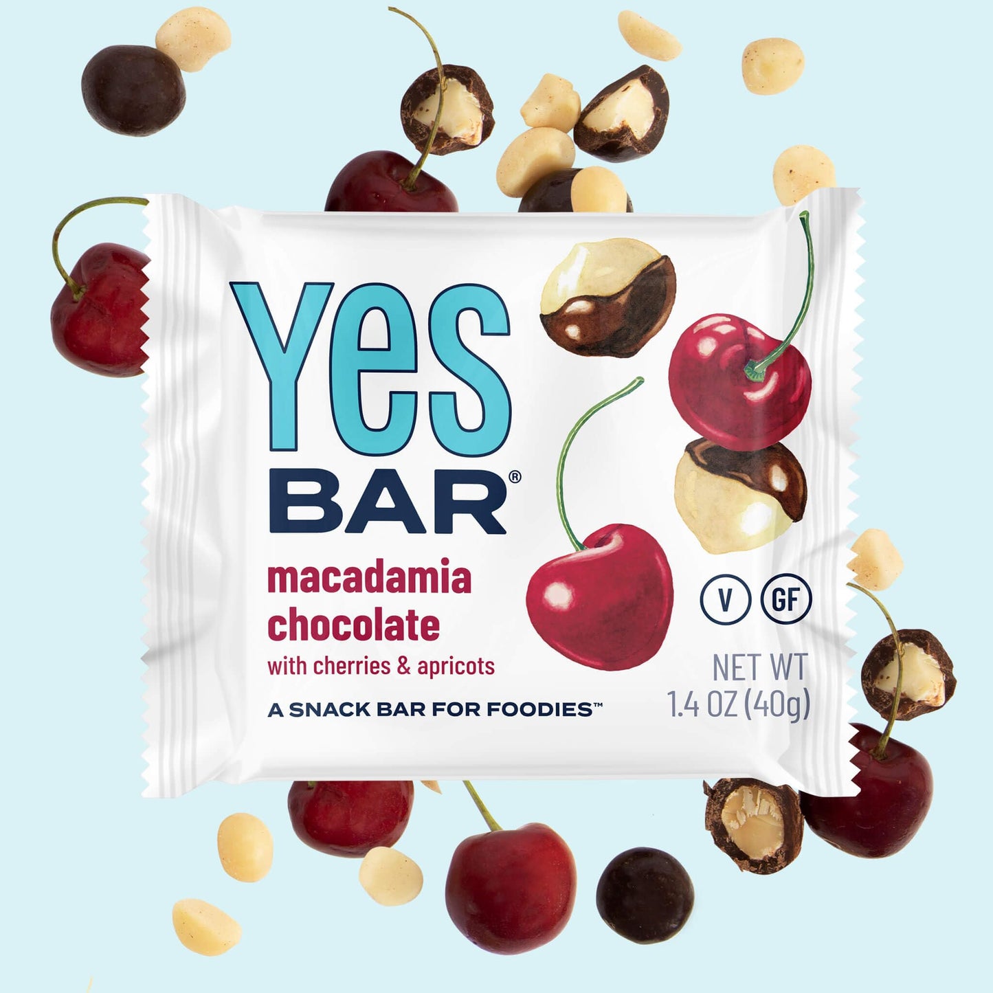 The YES Bar - Macadamia Chocolate - Plant Based Protein  Decadent Snack Bar - Vegan  Paleo  Gluten Free  Dairy Free  Low Sugar  Healthy Snack  Breakfast  Low Carb  Keto Friendly (Pack of 6)