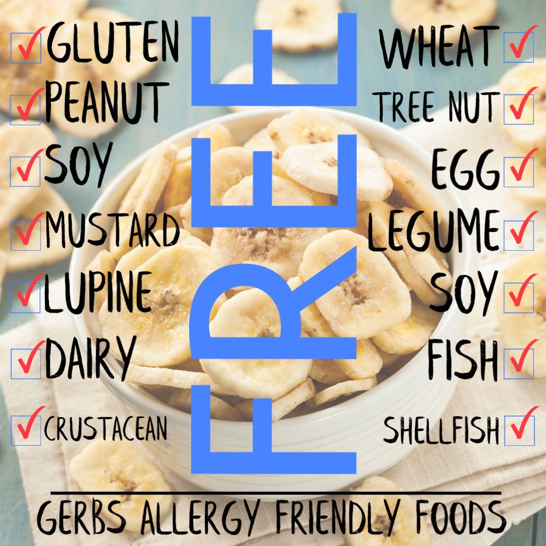 Gerbs Sweetened Banana Chip Slices 14 Ounce | Freshly Sealed In Re-Closeable Bag | Top 14 Food Allergy Free | Sulfur Dioxide Fre