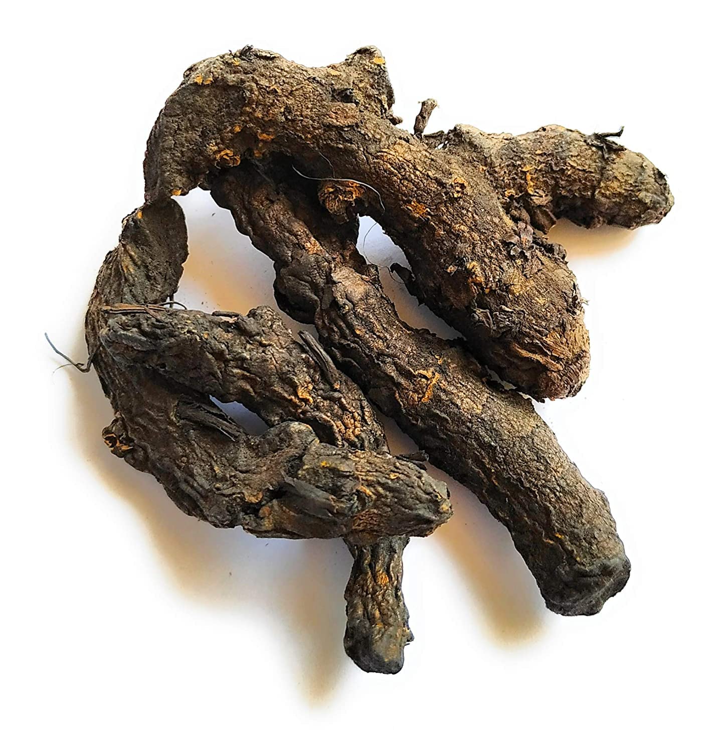 Aashita Creations Black Turmeric for Puja/Kali haldi, Standard (Black), 50 Gram