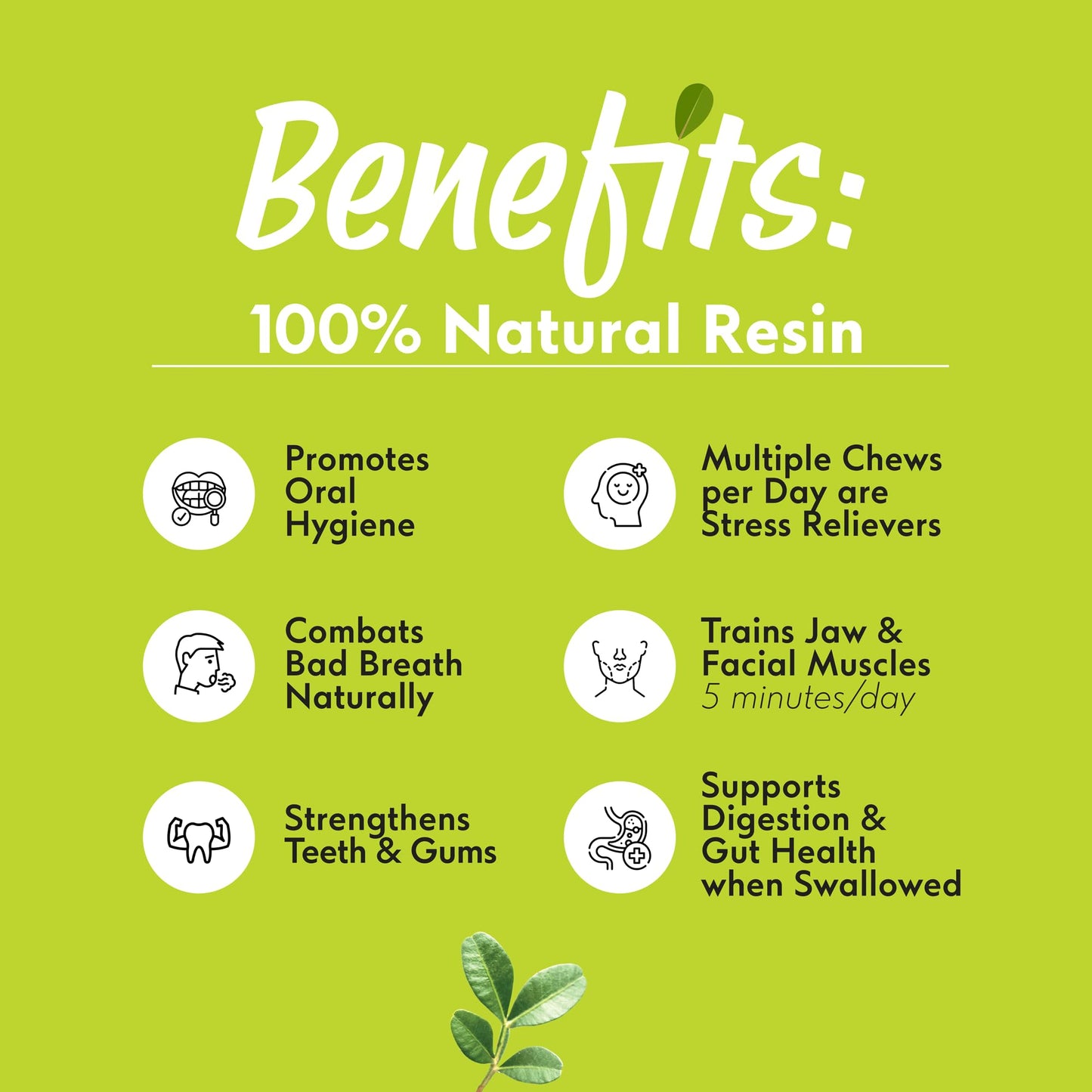 Chios Mastiha Natural Resin 50G/1.76Oz – Medium Tears | 100% Pure Chios Mastic Gum | Pdo Certified | Natural Hard Chewing Gum | Sugar-Free, Gluten-Free, Vegan