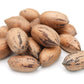 Anna and Sarah Premium Raw Fresh Pecans in Shell, 9 lbs, Pack of 1