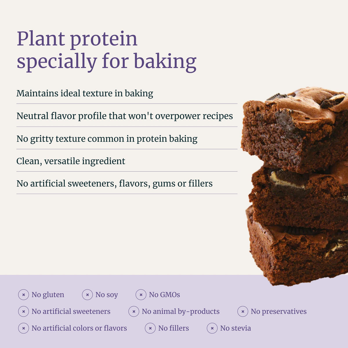 Nuzest Bethanys Pantry Plant Protein Bake Powder Flour Substitute for Baking 8.8 oz / 250 g