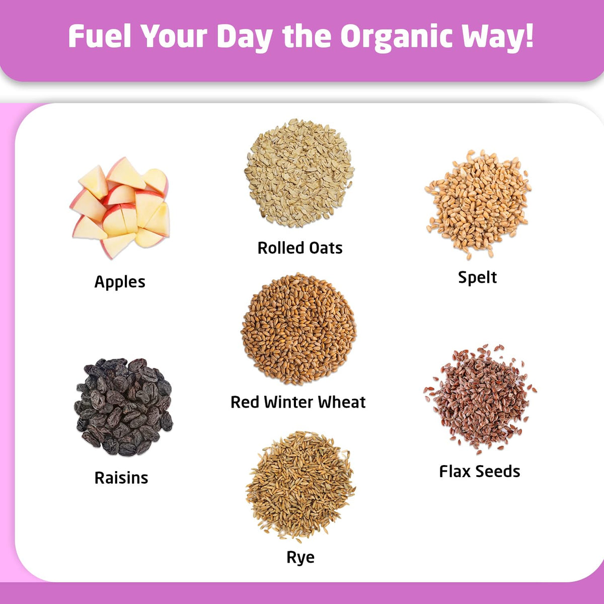 Farm To Table Foods Organic Apple Raisin Superfood Oatmeal - High-Protein, Whole Grain, Plant-Based, Unsweetened, Non-Gmo - 3-Pa