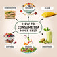 Trueseamoss Sea Moss Gel - Made In Usa - Wildcrafted Seamoss, Fresh Fruits & Sea Vegetables - Lemon Pie, Pack Of 1 (Labels May V