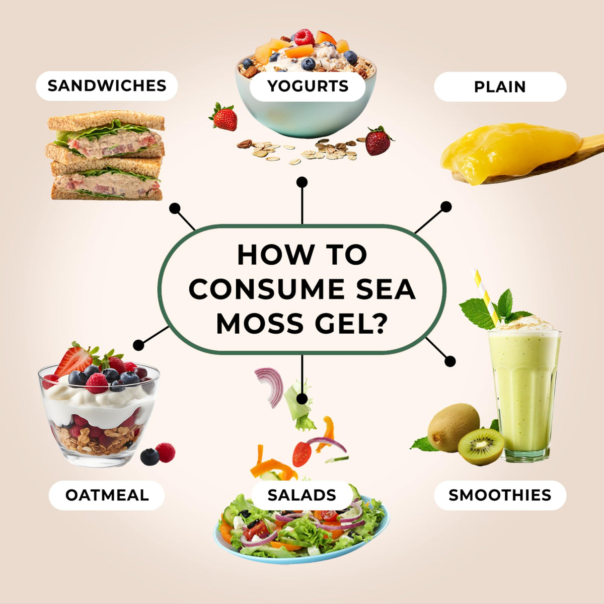 Trueseamoss Sea Moss Gel - Made In Usa - Wildcrafted Seamoss, Fresh Fruits & Sea Vegetables - Lemon Pie, Pack Of 1 (Labels May V