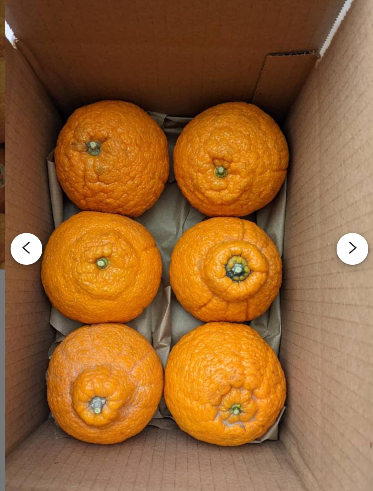 Generic Sumo Mandarin Oranges, comes with 4lbs of the fruits, Large