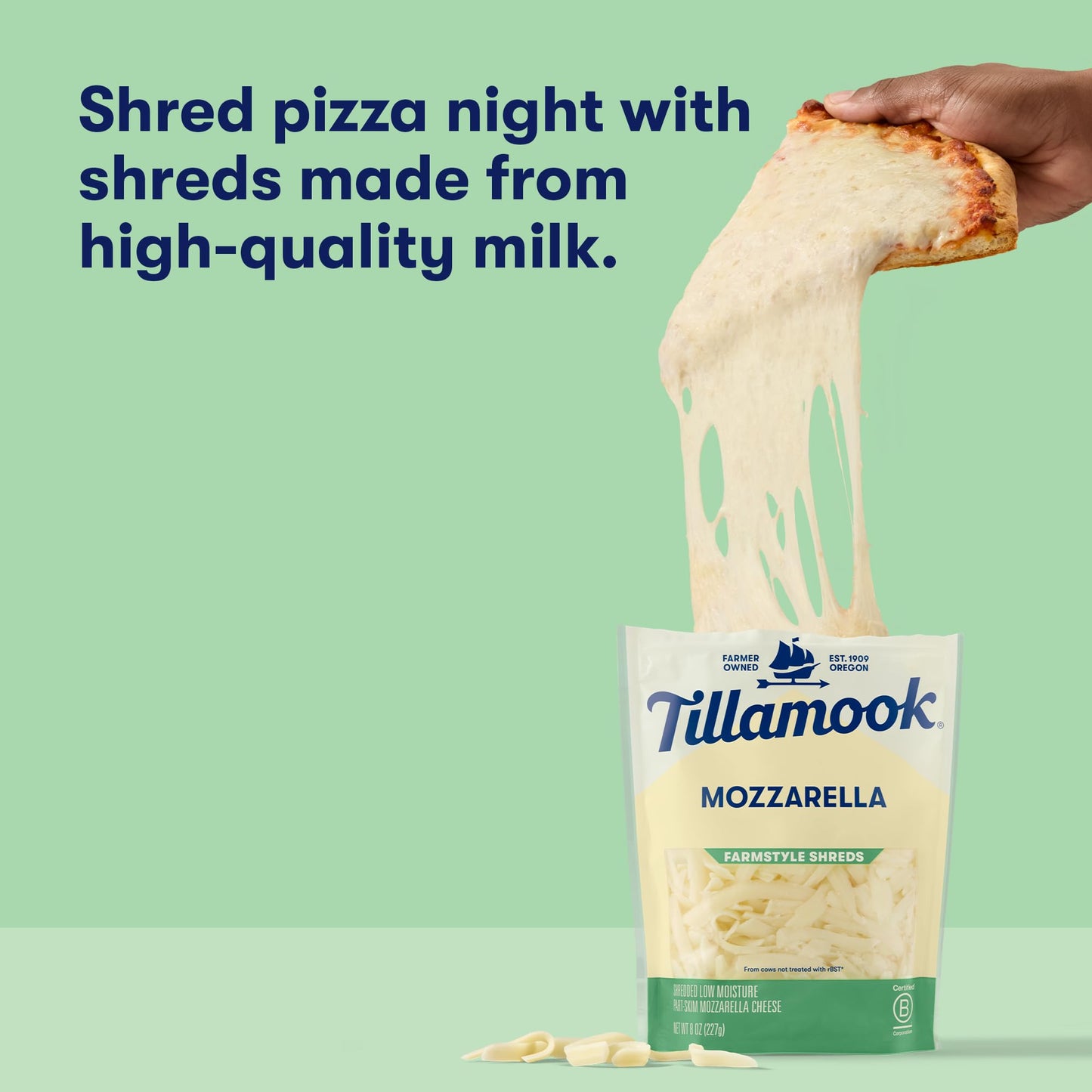 Tillamook Mozzarella Shredded Cheese, 8 oz (Packaging May Vary)