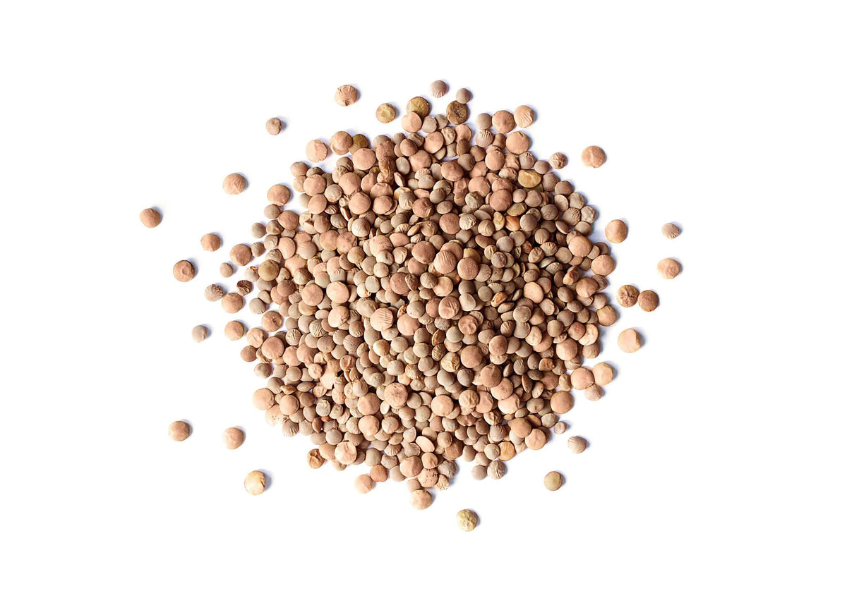 Food to Live Organic Whole Red Lentils, 3 Pounds Non-GMO, Dry Raw Lentils, Sproutable, Vegan, Kosher, Bulk. Easy to Cook. Good S