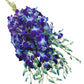 Premium Cut Purple Orchids (Support Small Business) (Blue, 10 Stems With Vase)