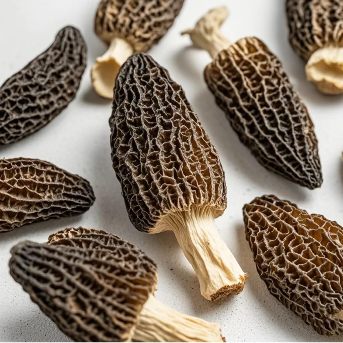 Dried Morel Mushrooms (Morchella Conica), 2 oz Morel Mushrooms Dehydrated Delicacies Nourishing Morchella Conica???Shipping from