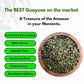 PACHA GUAYUSA LOOSE LEAF TEA - 2 Pounds, High Natural Caffeine, Clean Energy Alternative to Coffee, Yerba Mate, Green Tea