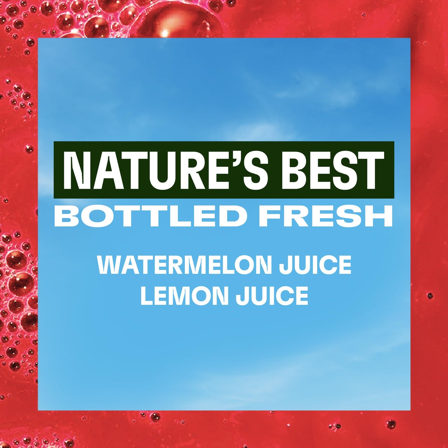 Evolution Fresh Mighty Watermelon Cold-Pressed Vegetable & Fruit Juice Blend 32 oz.