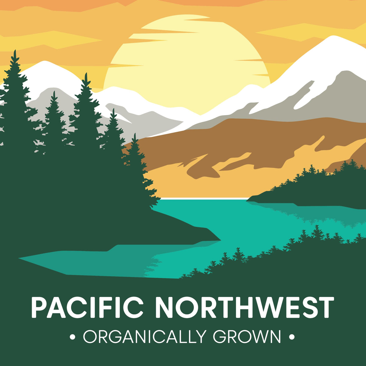 Wilderness Poets, Organic, Pacific Northwest-Grown Hazelnuts - Raw, Whole Nuts With Skins, No Shells. Bulk Size - 5 Pound (Pack