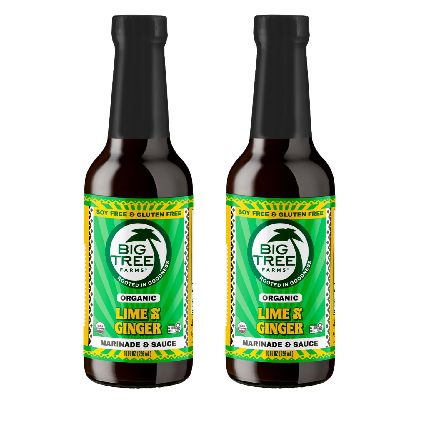 Big Tree Farms Organic Coco Aminos - Liquid Coconut Aminos, Soy-Free Sauce, Low Sodium, Soy Alternative, Gluten Free, Kosher, Marinade & Sauce, Non-Gmo - Gingery Lime, 10 Fl Oz (Pack Of 2)