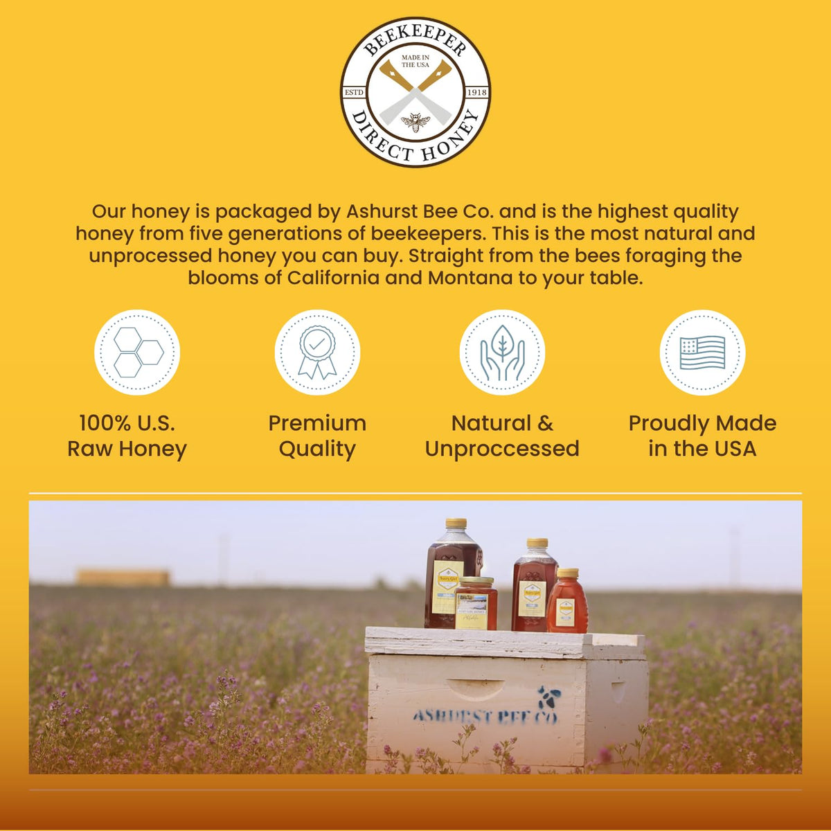 Beekeeper Direct Raw Unfiltered Honey - Non-GMO Pure Gourmet Honey - 16 Ounce Squeeze Bottle - Sweet Clover Flavor
