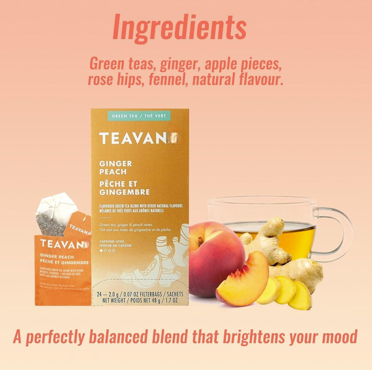 Vitaroots Teavan Harmonic Mint And Ginger Peach Tea - Medicine Ball Recipe Diy Kit - Total 48 Tea Bags (24 Each) Plus 10 Pure Ho