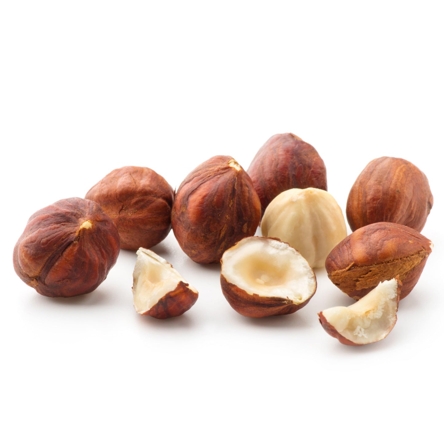 Roasted Hazelnuts, 1 Pound Bag Fresh Hazelnuts, The Hampton Popcorn & Candy Company