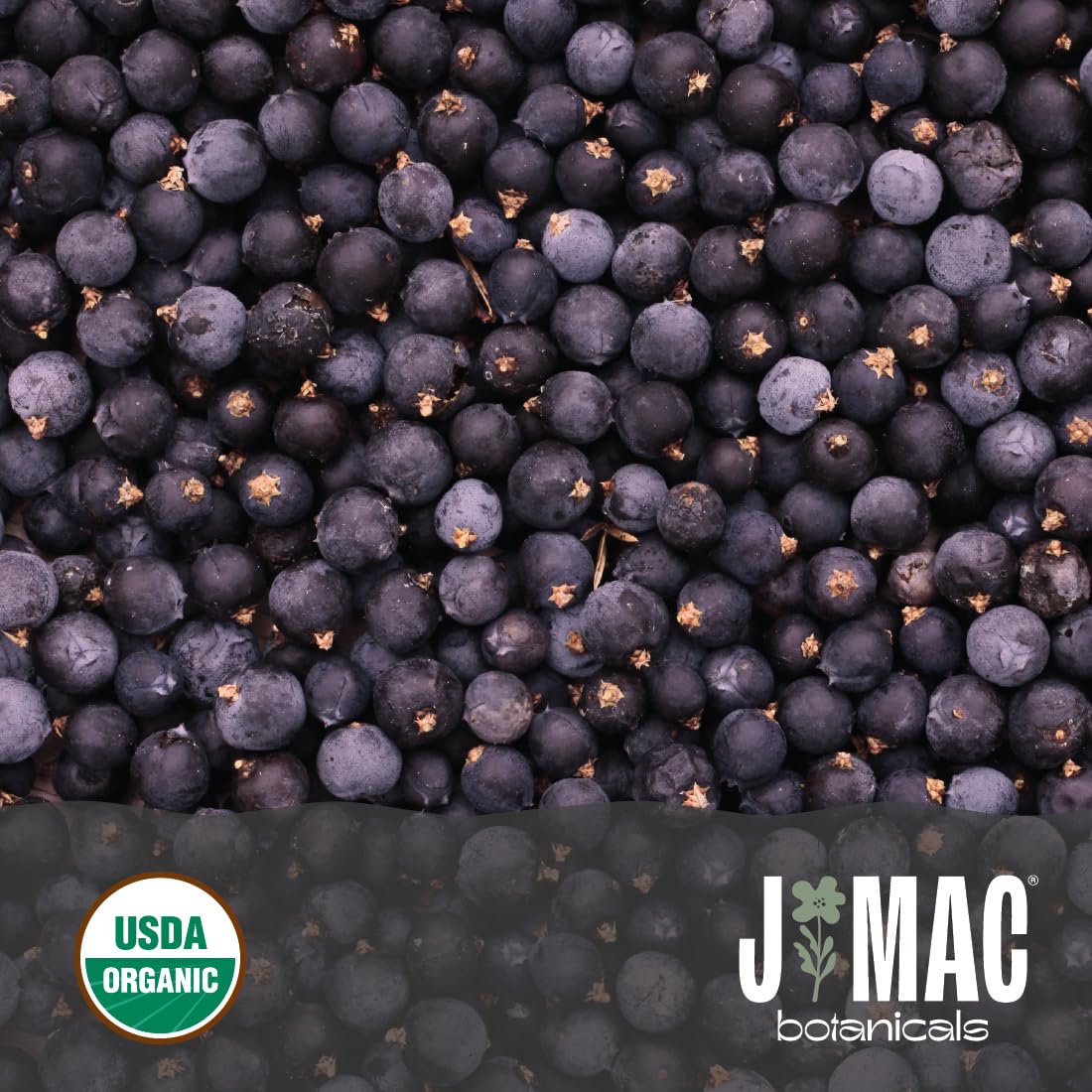 J MAC BOTANICALS Organic Whole Juniper Berries, 16 Ounce, Certified USDA Organic for Infusions and Seasoning