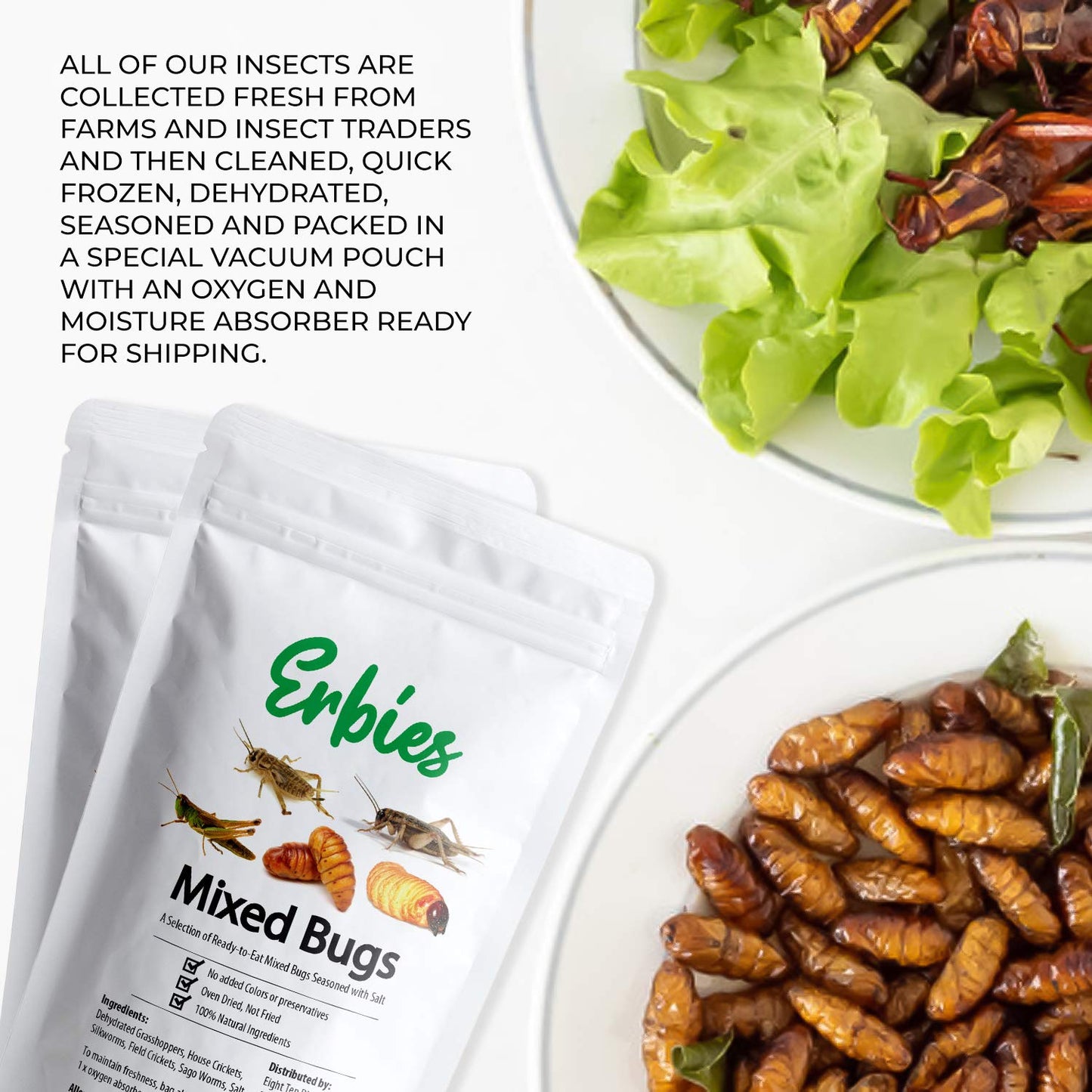 Erbies Edible Bug Mixed Trail Mix, 15g Bag, Seasoned and Crunchy Insects, Crickets, Grasshoppers, Silkworm Pupae, and Sago Worms