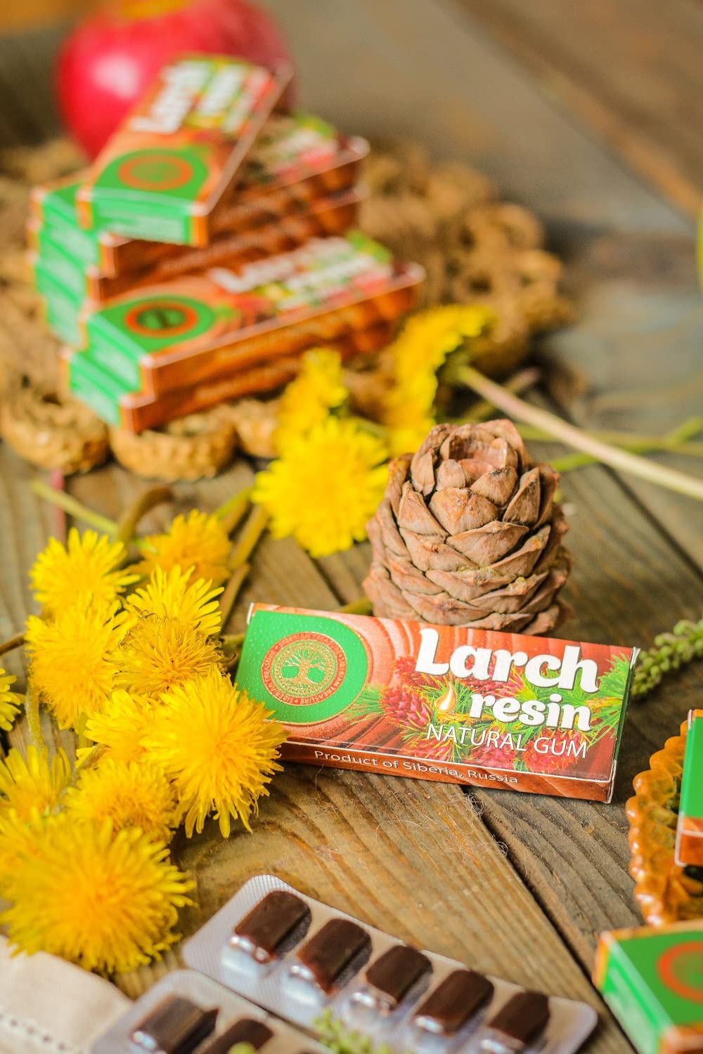 Siberian Treasure Siberian Larch Resin Natural Gum, Non-GMO, Sugar-Free, 5 Packs (25 Pieces) – 5 Count Size