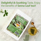 ULTHMOK Premium Senna Tea Bags, 100% Natural, Caffeine Free, 100 Count