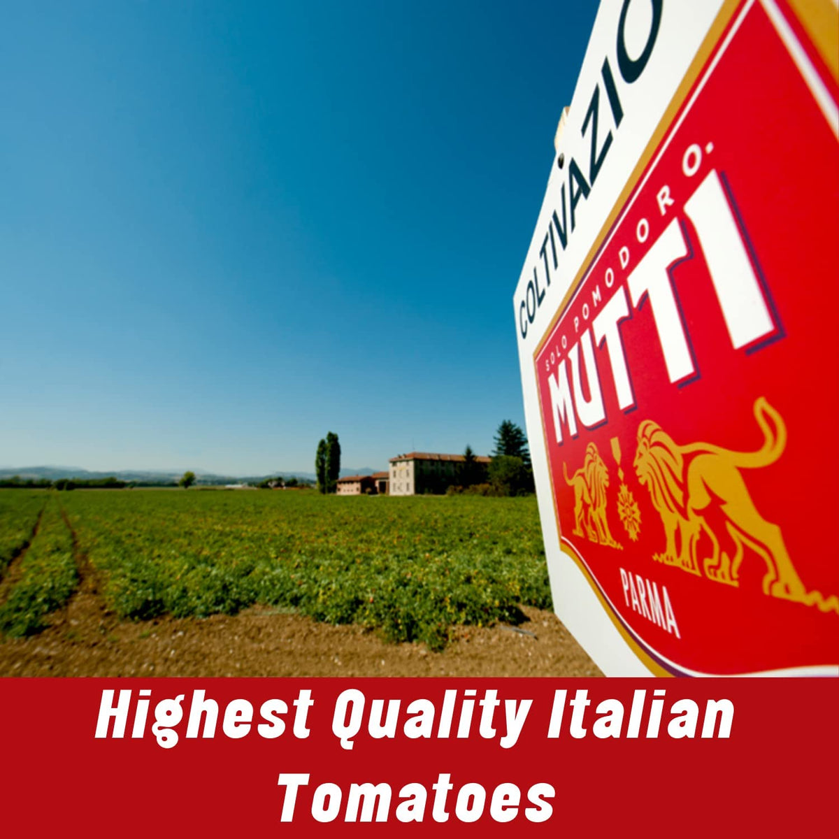 Mutti - Sauce Pizza Basil Evoo - Case Of 6-14 Oz