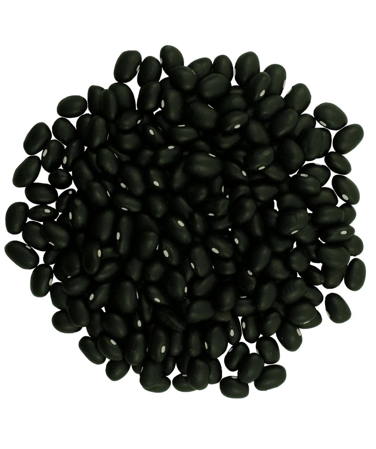 Washington State Black Beans | 4 Lb Linen Drawstring Bag | Non-Gmo | Vegan | Kosher | Non-Irradiated | Dry Black Beans | Frijole