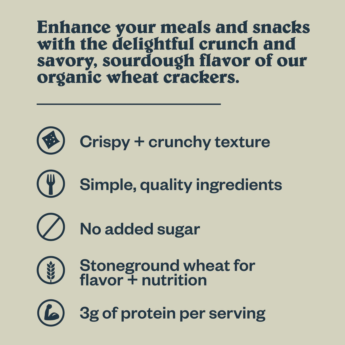 Patagonia Provisions - Rosemary Garlic - Certified Organic Crackers - Non-GMO, Plant-Based, No Added Sugar
