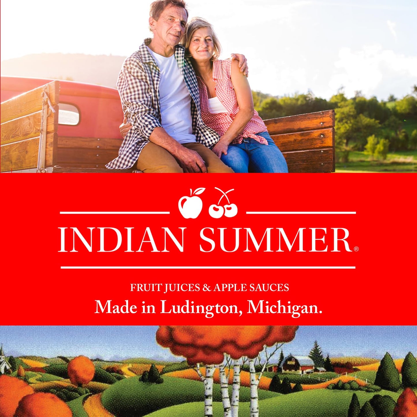 Indian Summer Enhanced Chunky Applesauce Made From Us Apples And American Growers (Chunky Original, 23 Ounces Each, Pack Of 6)