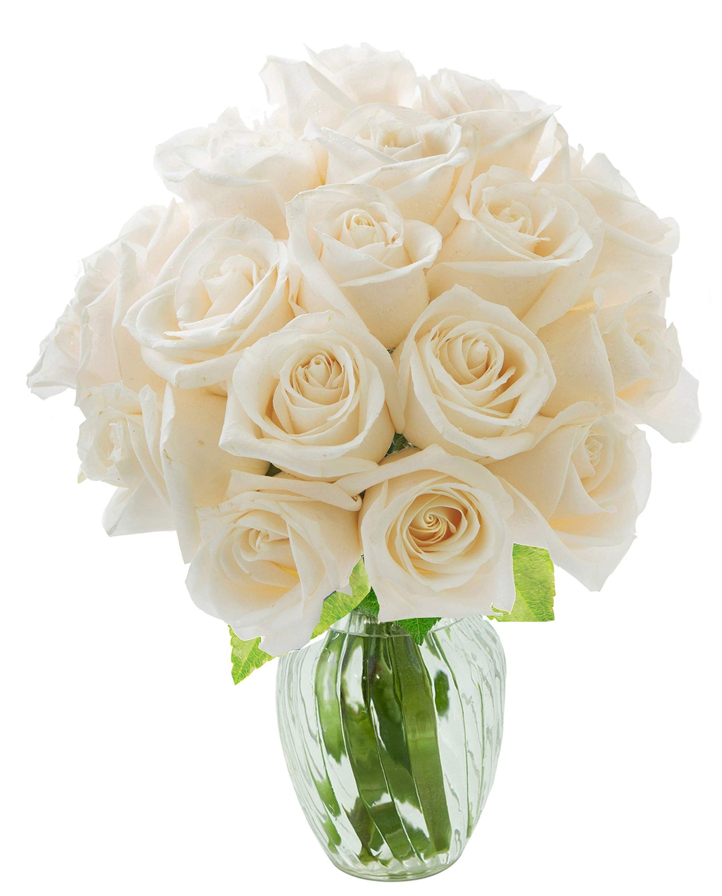 KaBloom Flowers - Mothers Day Collection - Bouquet of 18 Fresh White Roses (Farm-Fresh, Long-Stem) with Vase. Gift for Birthday, Sympathy,Thank You, Valentine, Mother’s Day Fresh Flowers