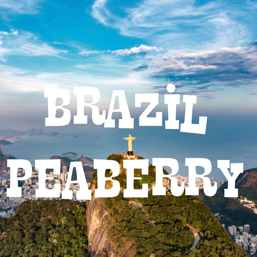 Brazil Peaberry Coffee, Whole Bean, Fresh Roasted, 16-Ounce