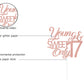 Young And Sweet Only 17 Cake Topper, Happy 17Th Birthday, Cheers To 17 Years Old Cake Decor, 17Th Birthday/Anniversary Party Dec