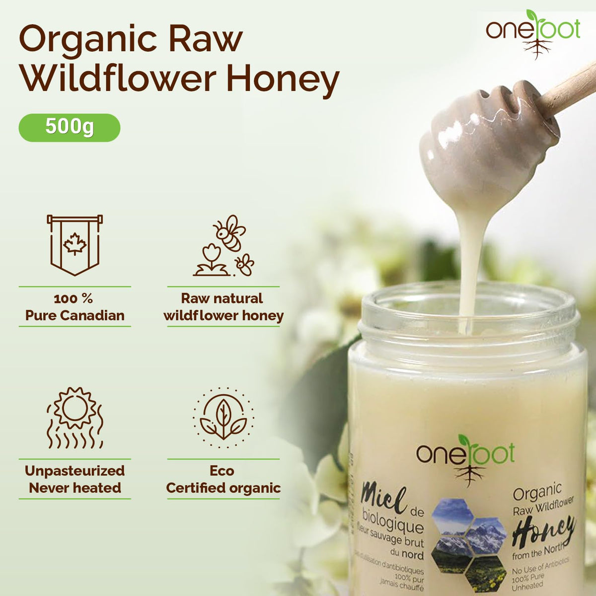 Oneroot 100% Organic Canadian Flower Honey - 17.6 Oz/1.1 Lbs, White Honey Wildflower Unfiltered, Unheated & Creamed, Nutrient Ri